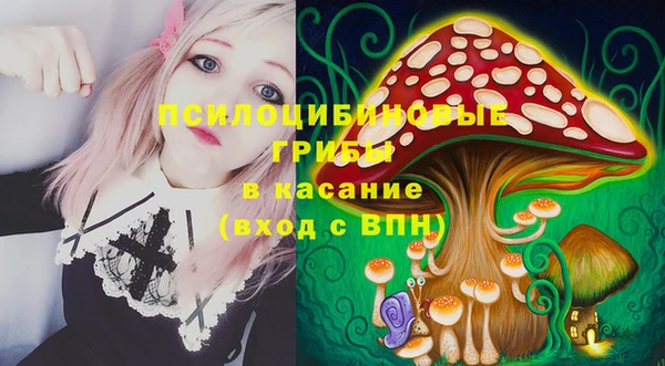 винт Белокуриха