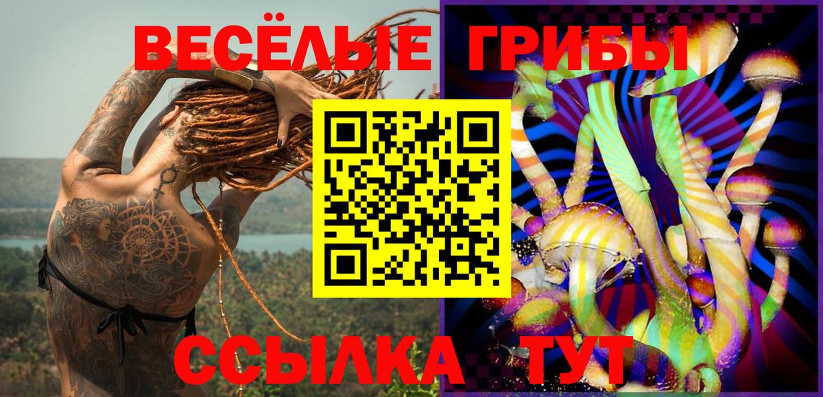 Галлюциногенные грибы Psilocybe Верхняя Пышма