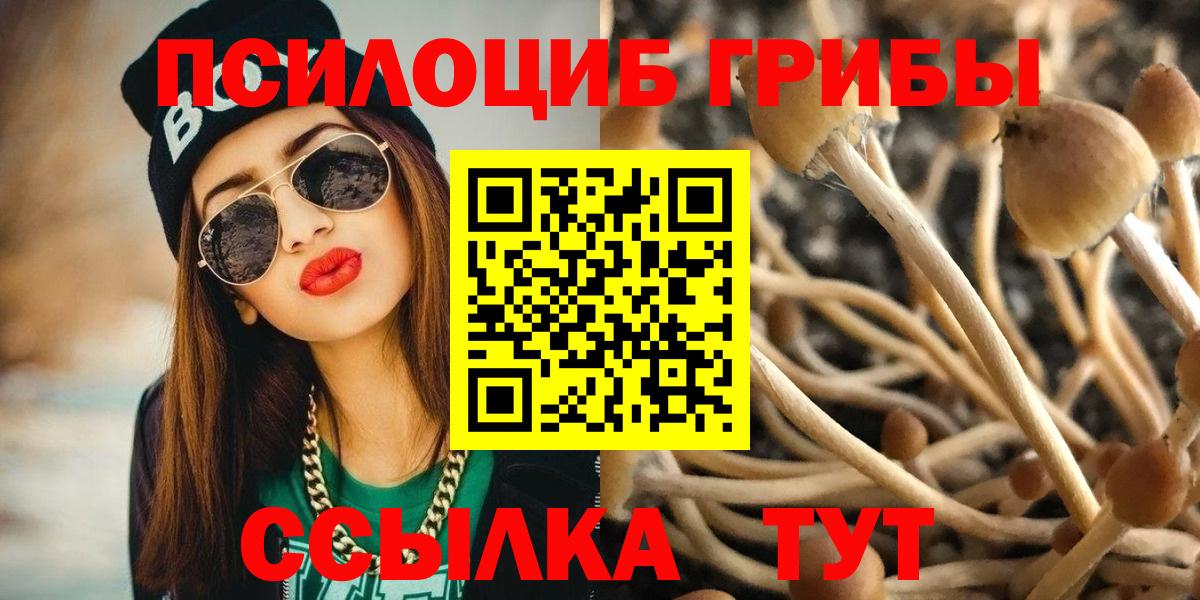 Мефедрон  Каннабис  ГАШИШ  Кокаин  Верхняя Пышма  Бошки Шишки  Меф  Вход с VPN 
