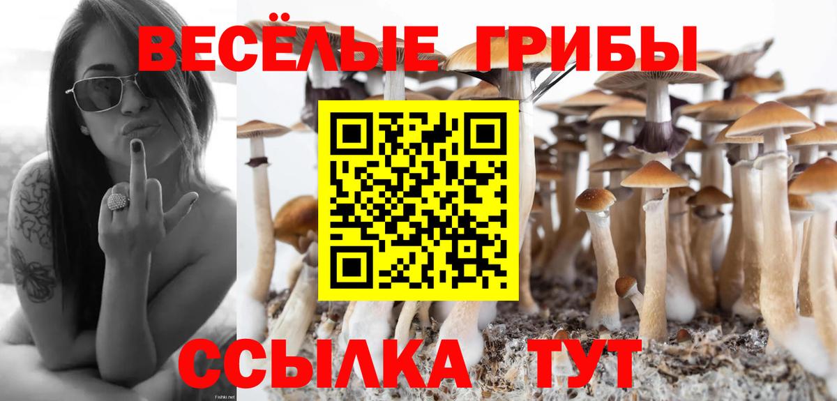 Верхняя Пышма  Галлюциногенные грибы Psilocybine cubensis  Вход с VPN 