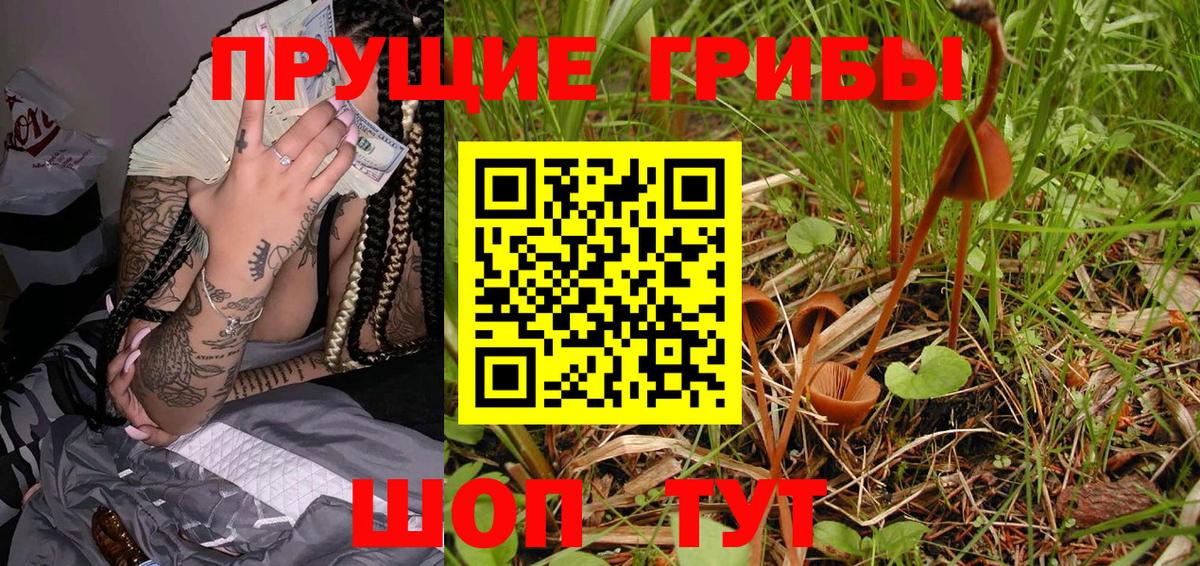 Галлюциногенные грибы мухоморы  где можно купить   Псилоцибиновые грибы Psilocybine cubensis  Верхняя Пышма 