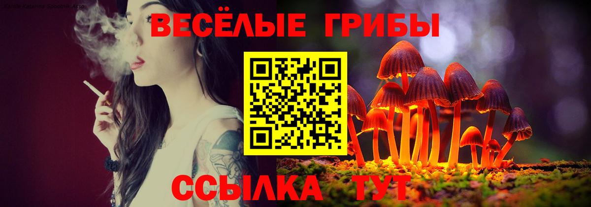 Псилоцибиновые грибы Psilocybine cubensis Верхняя Пышма